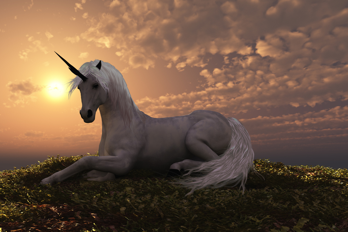 13 Stock Images Of Unicorns That Will Blind You With Majesty | HuffPost