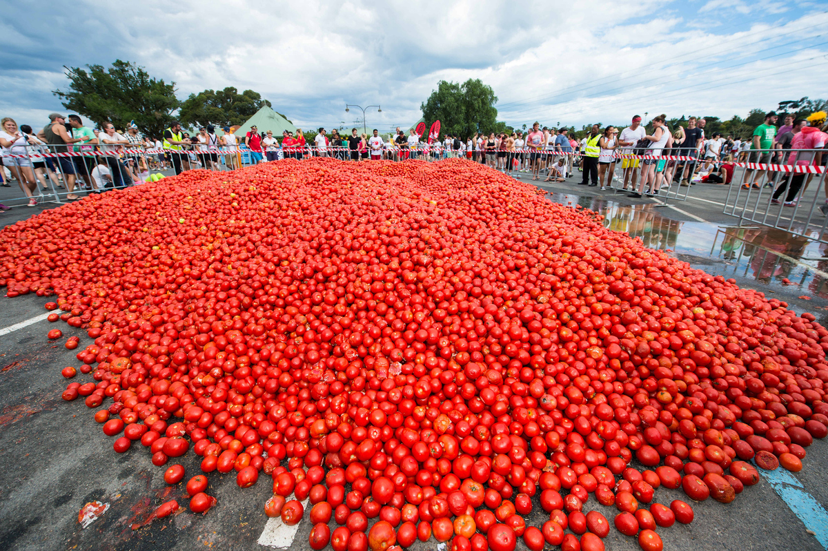 Here's What 5,000 Australians Battling Each Other With 300,000 Tomatoes