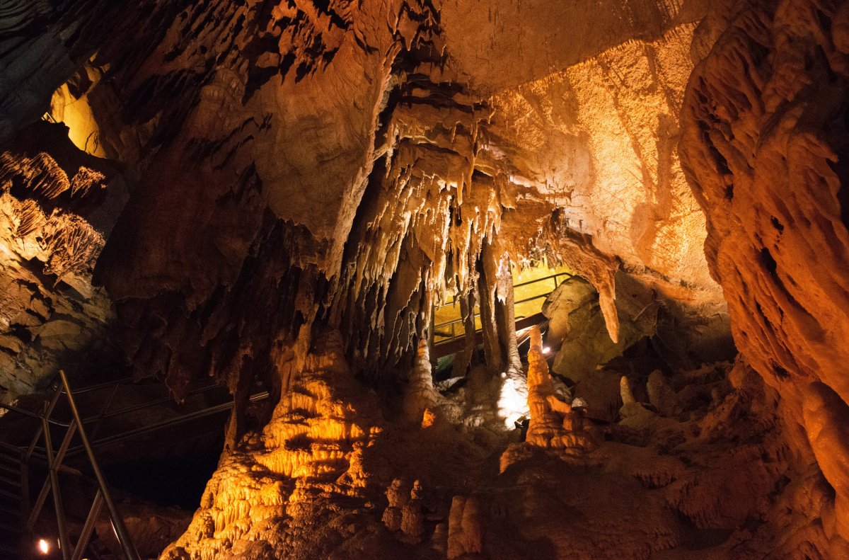 Мамонтова пещера в северной америке. Флинт Мамонтова пещера. Мамонтова пещера США. Мамонтовые пещеры в Кентукки. Пещера в штате Кентукки.