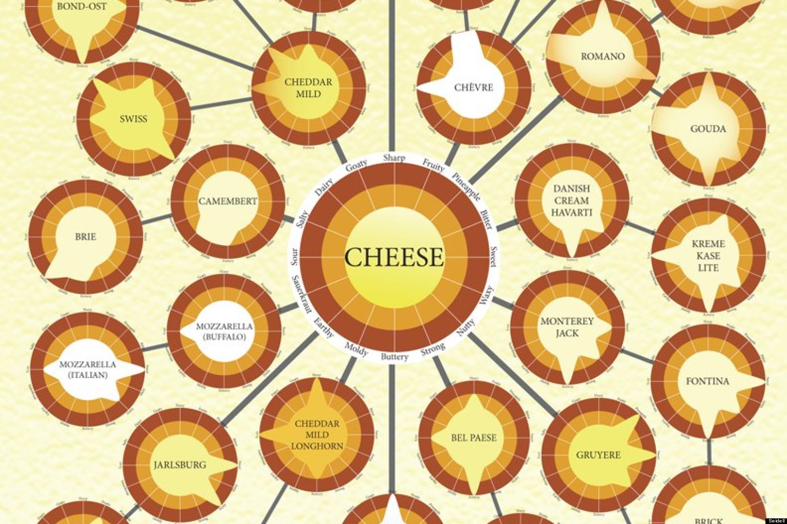 Cheese Flavors Every Kind You Need To Know (INFOGRAPHIC) HuffPost