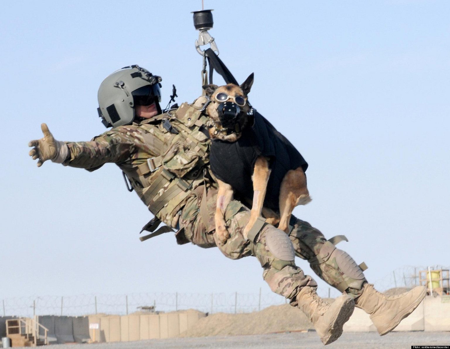 military dog trainer