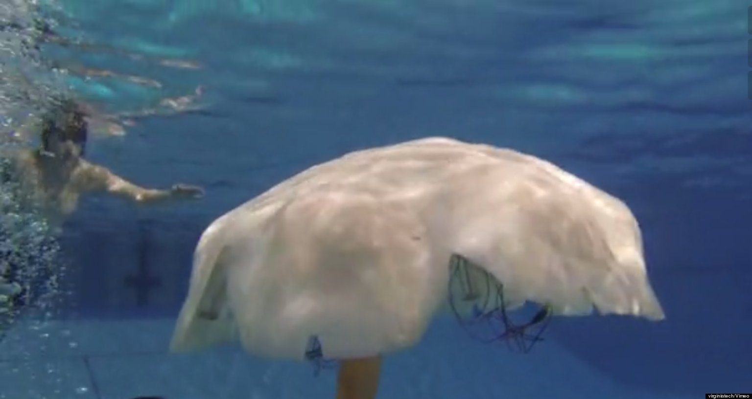 Robotic Jellyfish 'Cyro' Unveiled By Virginia Tech HuffPost