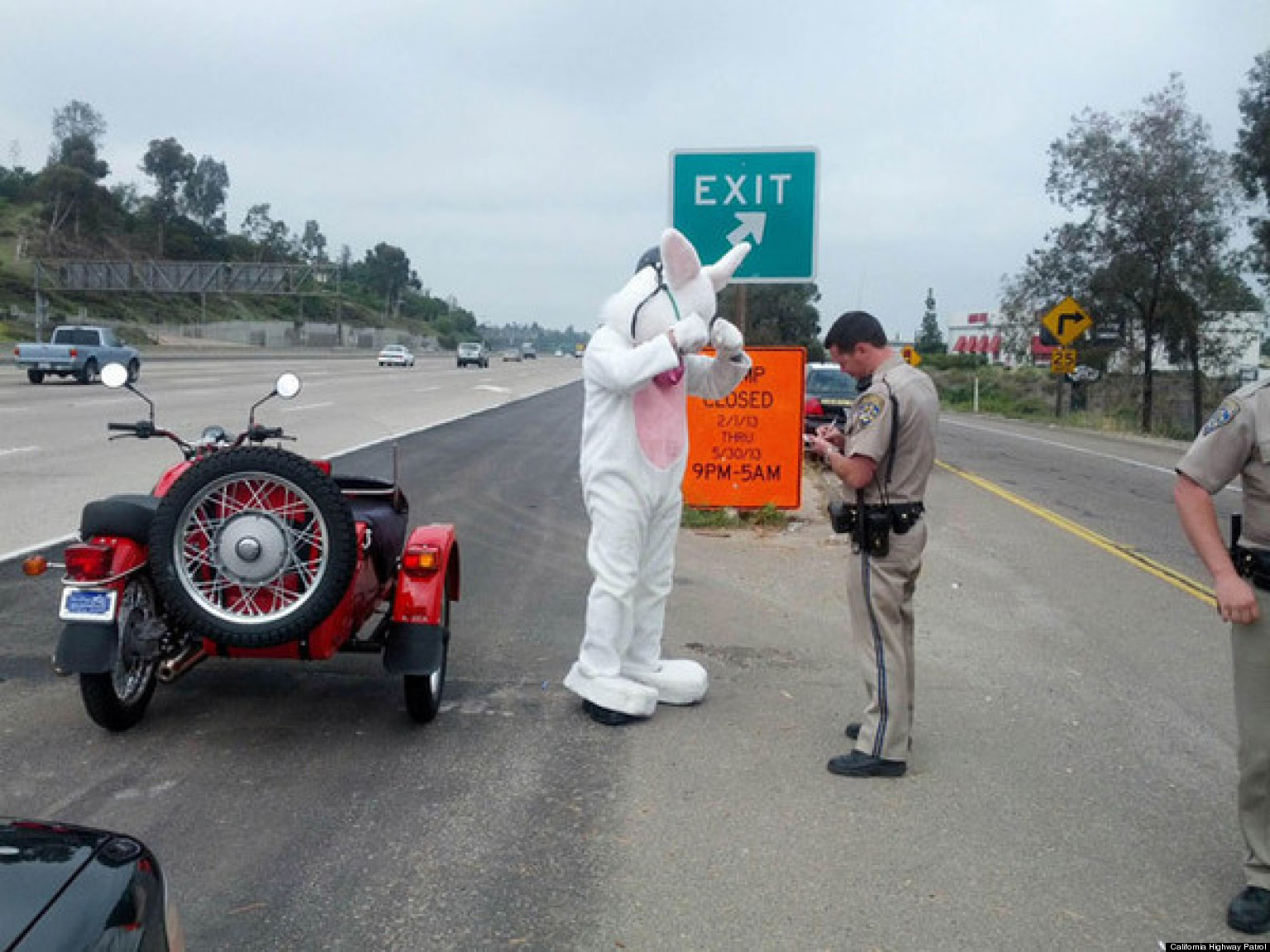 Easter Bunny Pulled Over San Diego Officer Stops Rabbit On Motorcycle