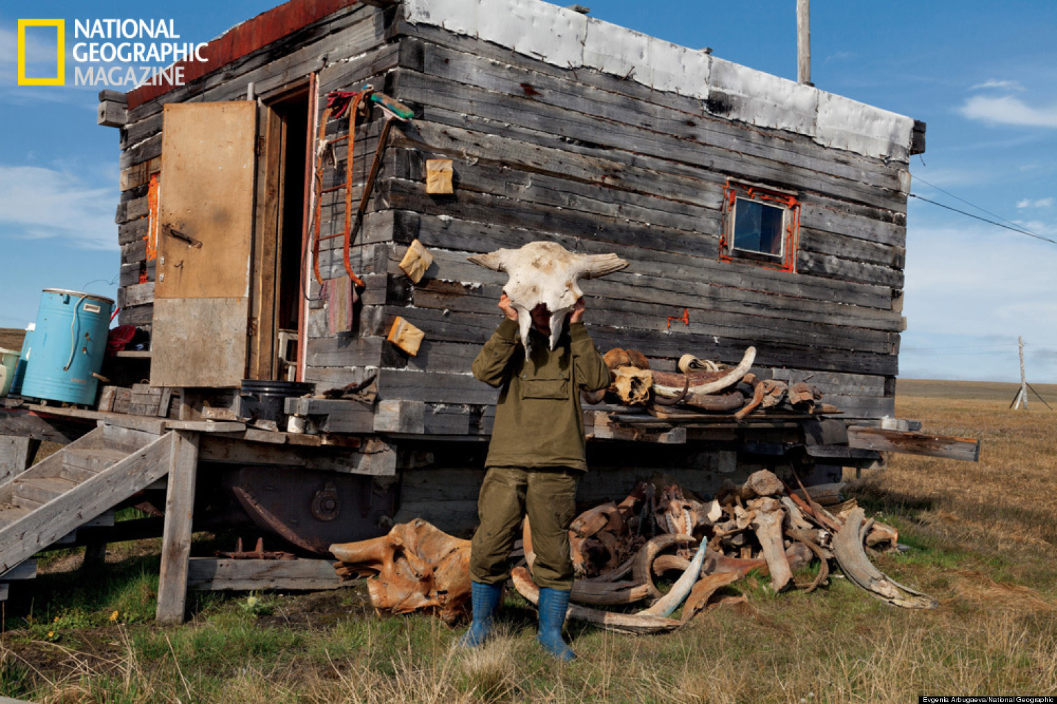 Mammoth Tusk Trade In Russia Grows Exponentially (PHOTOS) | HuffPost
