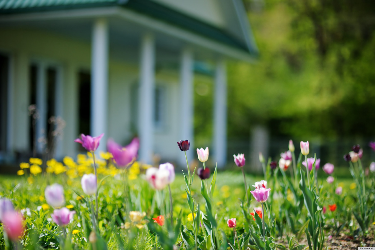 7 Inspirational Quotes That Remind Us To Find Comfort In Our Homes