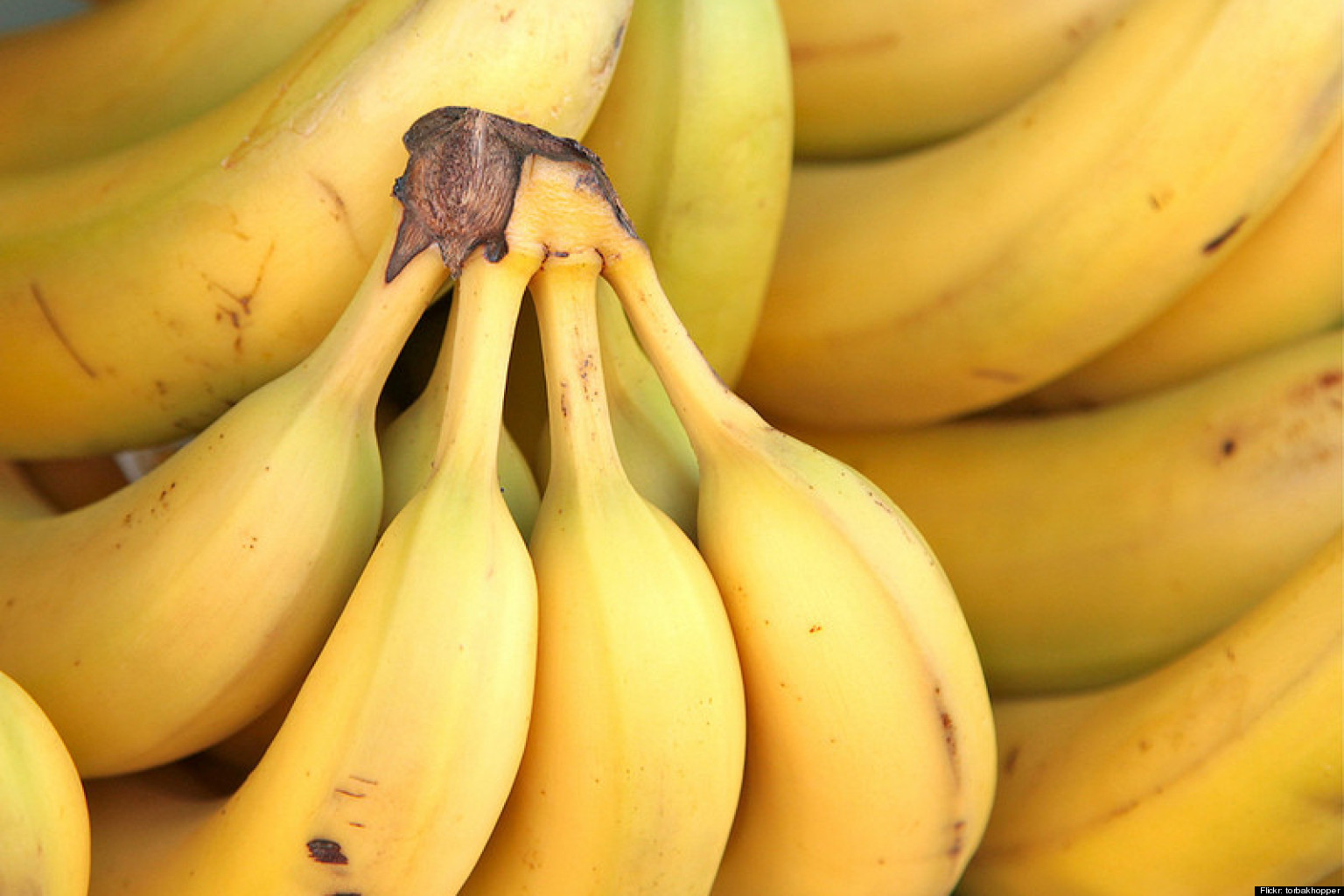 14 Times Artificial Banana Ruined Everything HuffPost