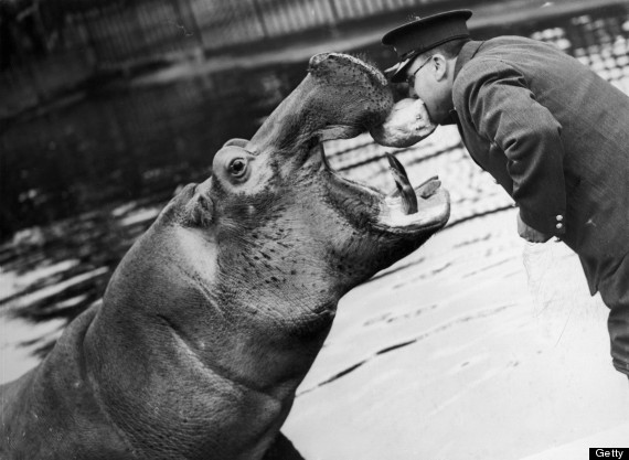 Anniversary Of The Zoological Society Of London (PICTURES) | HuffPost UK