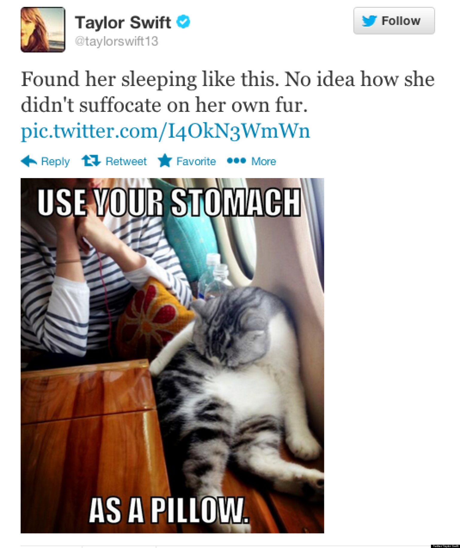 Taylor Swift Tweets Hilarious Meme Of Her Cat Meredith HuffPost