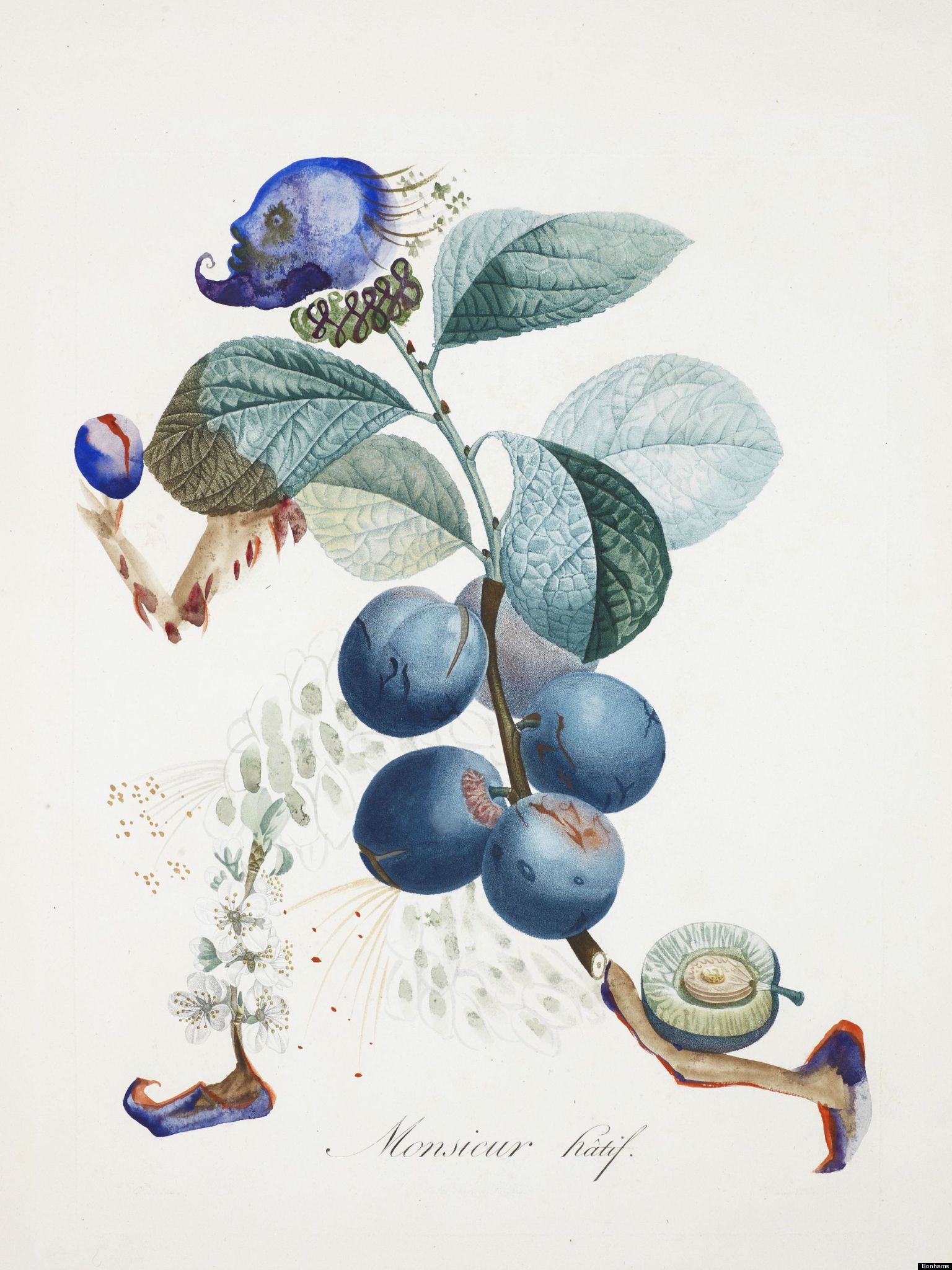 Dali Watercolors: 14 Rare Botanical Artworks Sell For Over $1 Million