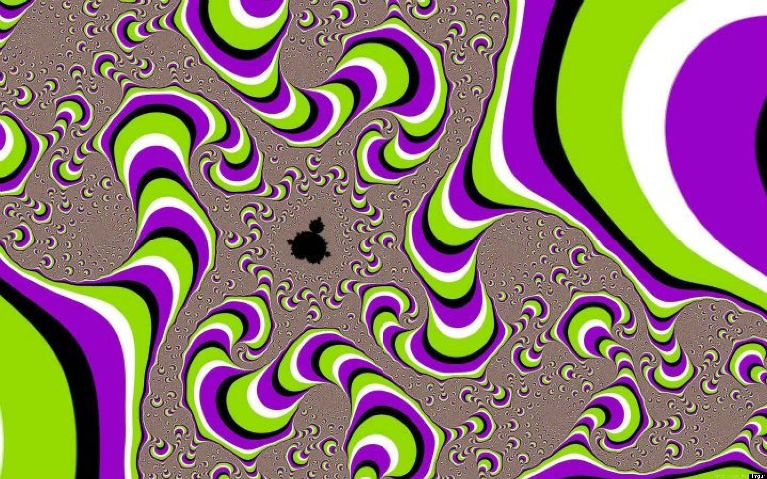 10 Optical Illusions That Will Blow Your Mind Photos Huffpost 