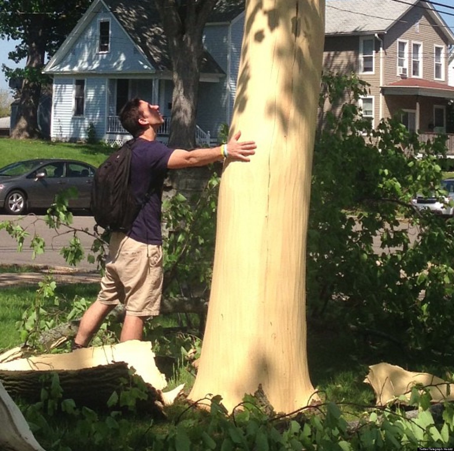 Tree Stripped Of Bark By Lightning In Dubuque Iowa Photo Huffpost 