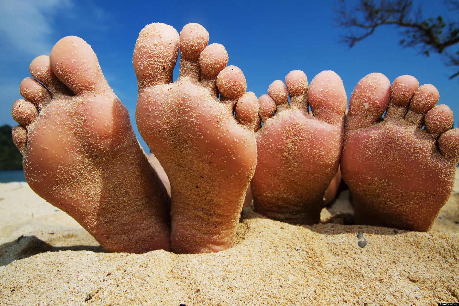 Feet Have More Diverse Fungus Than Elsewhere On Body, Study Finds