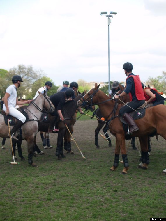 polo