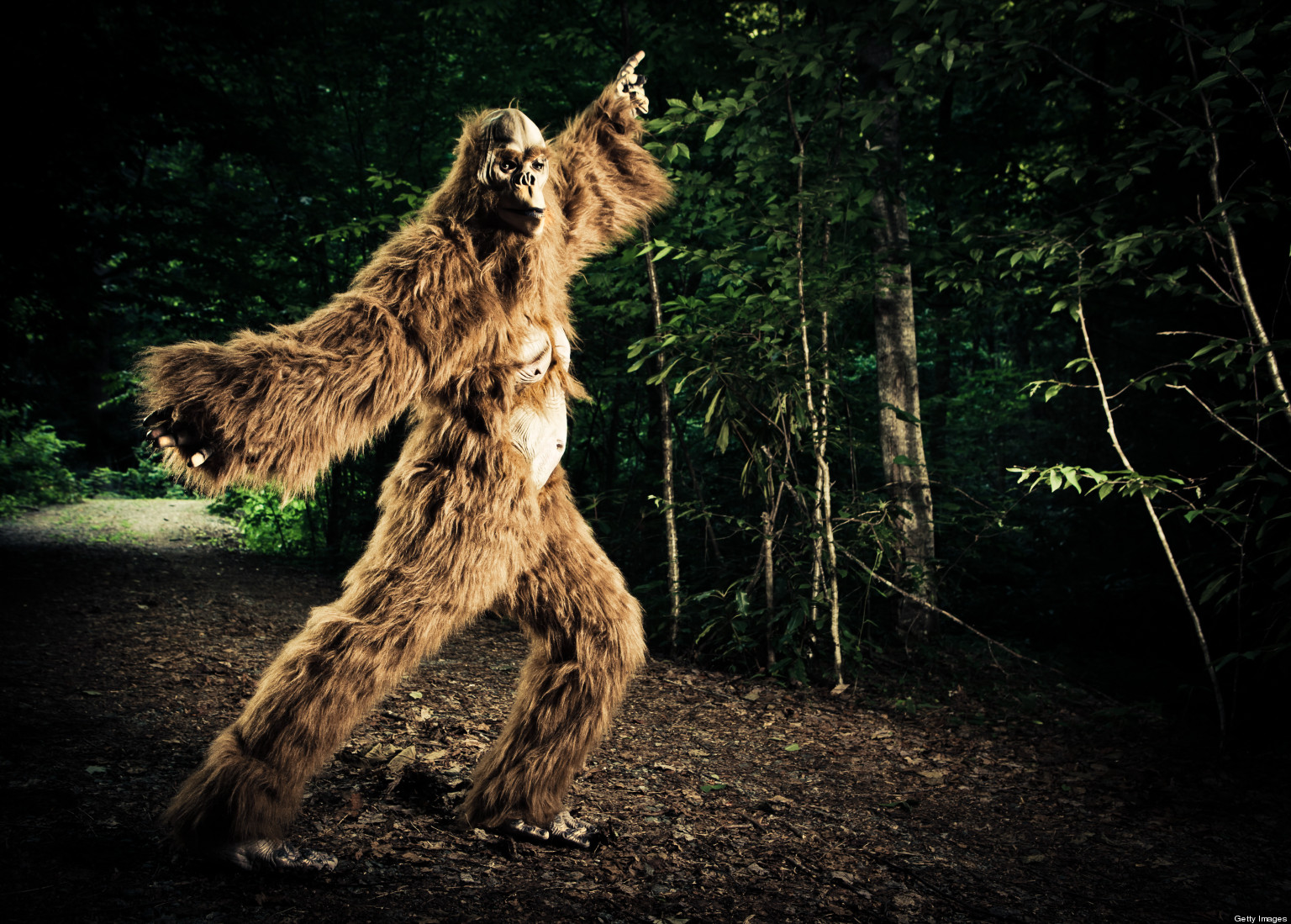 Best States For Bigfoot: The Best Places To Spot The Elusive Ape-Man