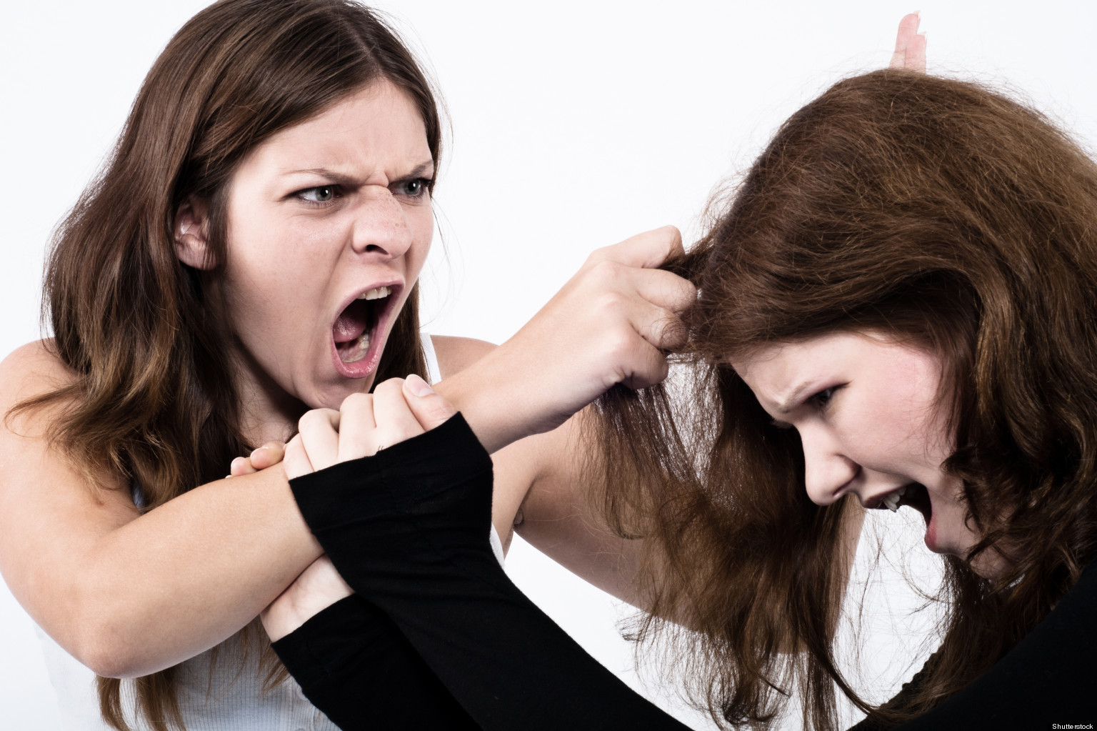 Girl Fight or Cat Fight? | HuffPost
