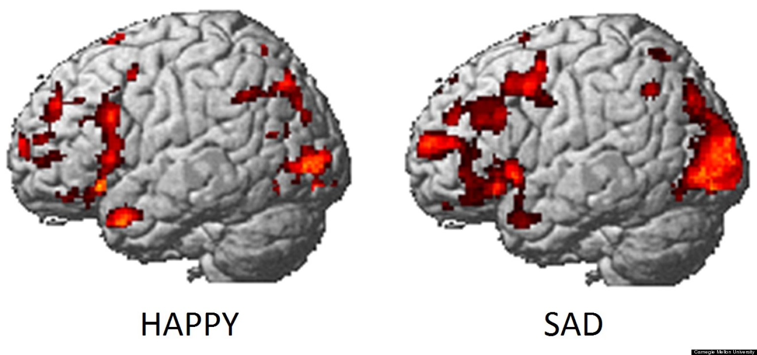 Brain Activity Can Reveal Emotions, Study Finds | HuffPost