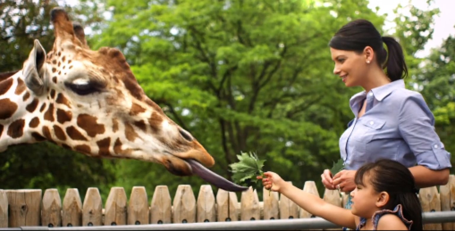 Detroit Zoo Commercials Have Children And Animals, So Obviously They're