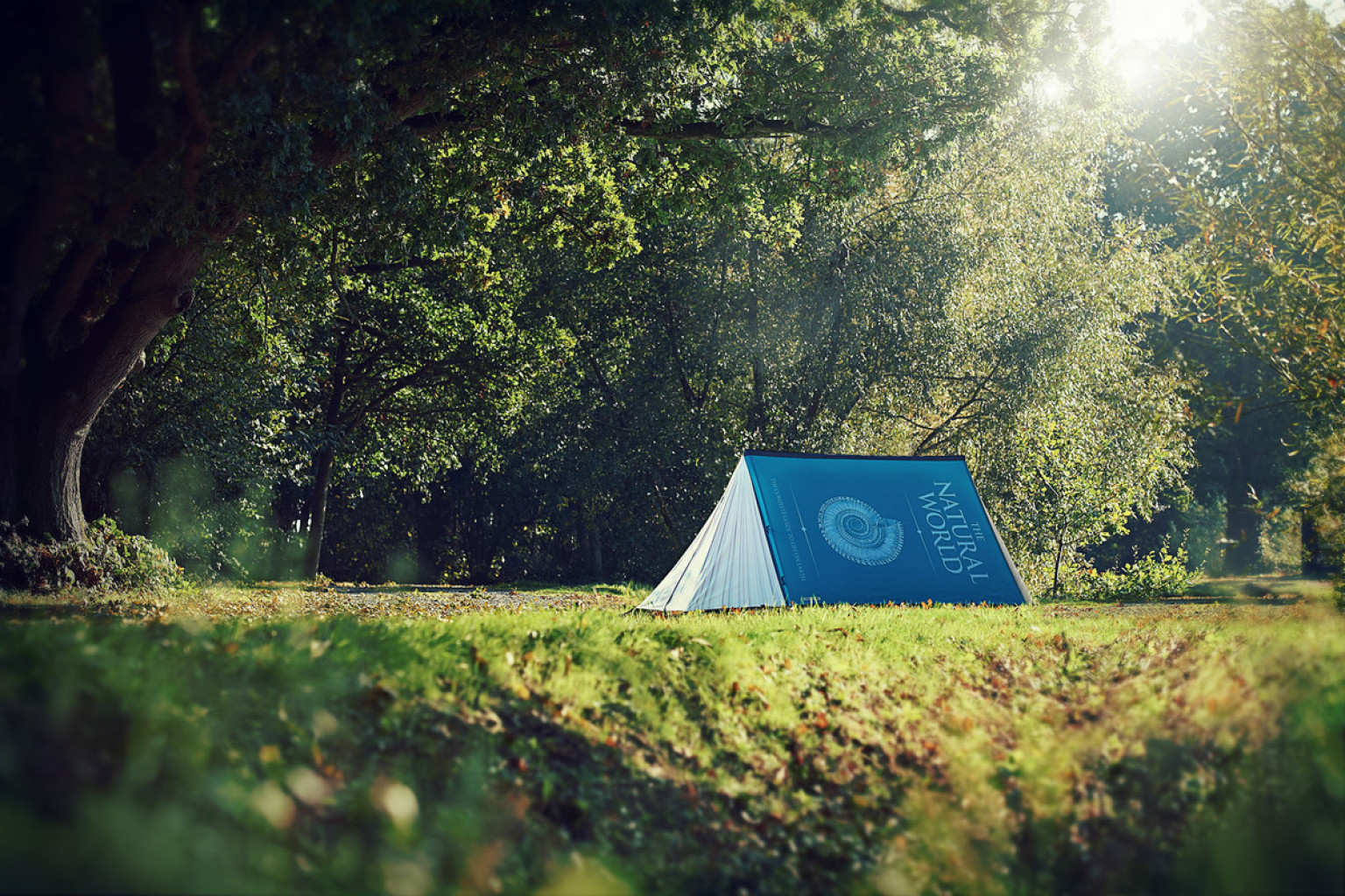 8 Camping Necessities That Make 'Roughing It' So Much Better (PHOTOS