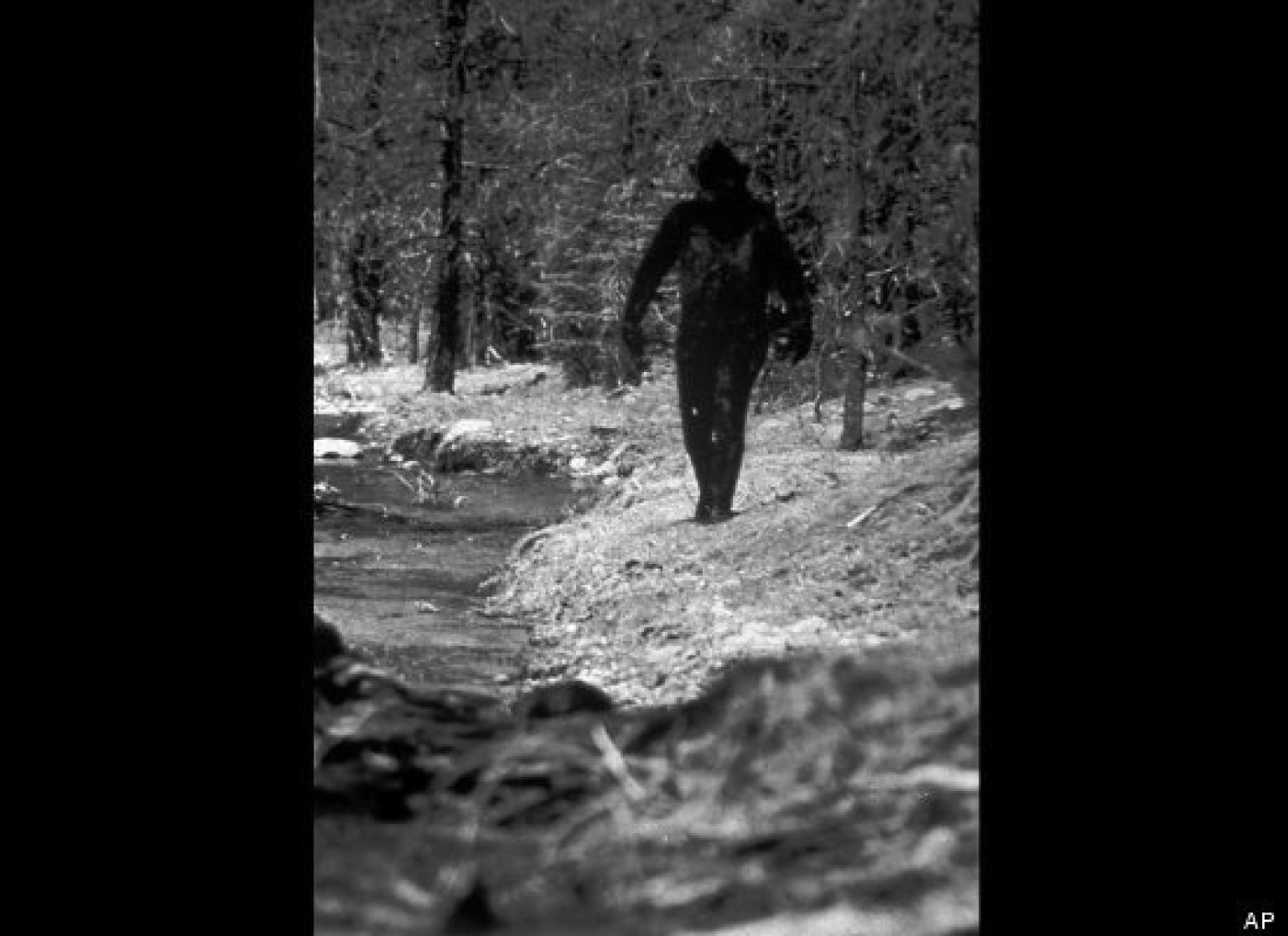 Bigfoot Dna Tests Melba Ketchums Research Results Are Bogus Claims Houston Chronicle Report 