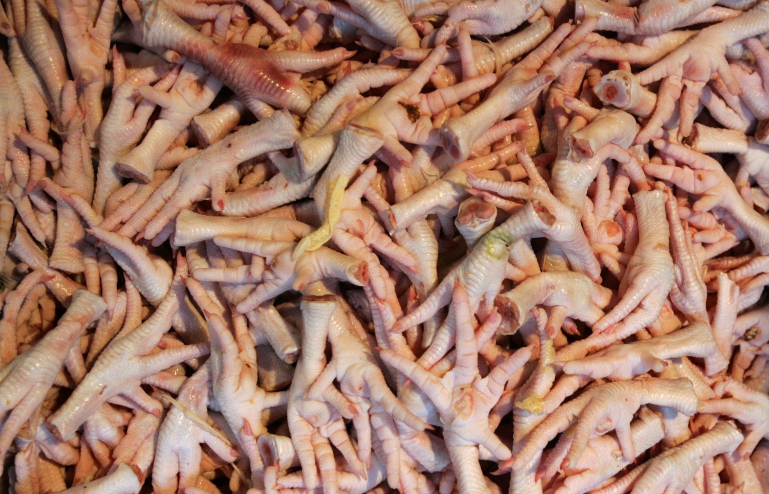 46-Year-Old Expired Chinese Chicken Feet Seized In Illegal Food