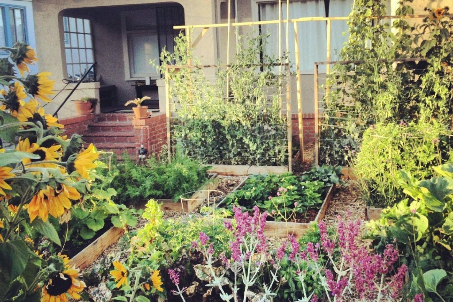 This DIY Ve able Garden Deserves Major Props PHOTOS o VEGGIE GARDEN