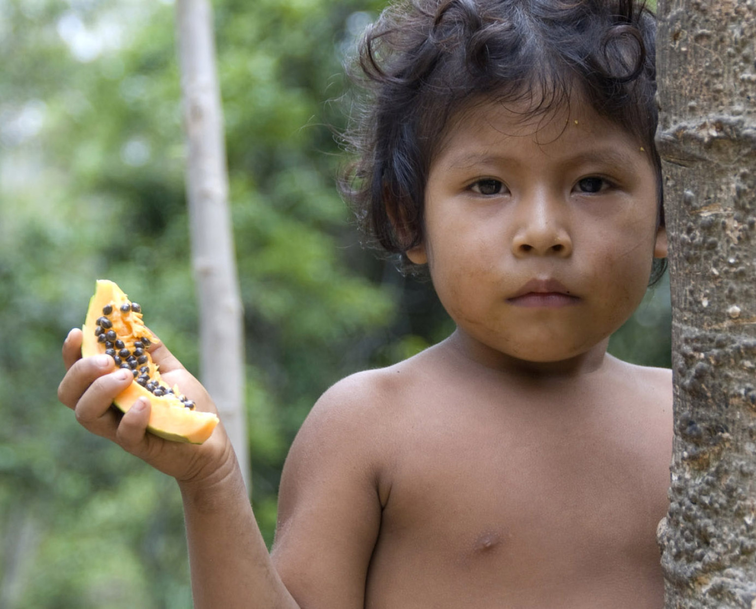 Brazils Army Moves To Protect Indigenous Aw Tribe By Halting Illegal Logging -5744