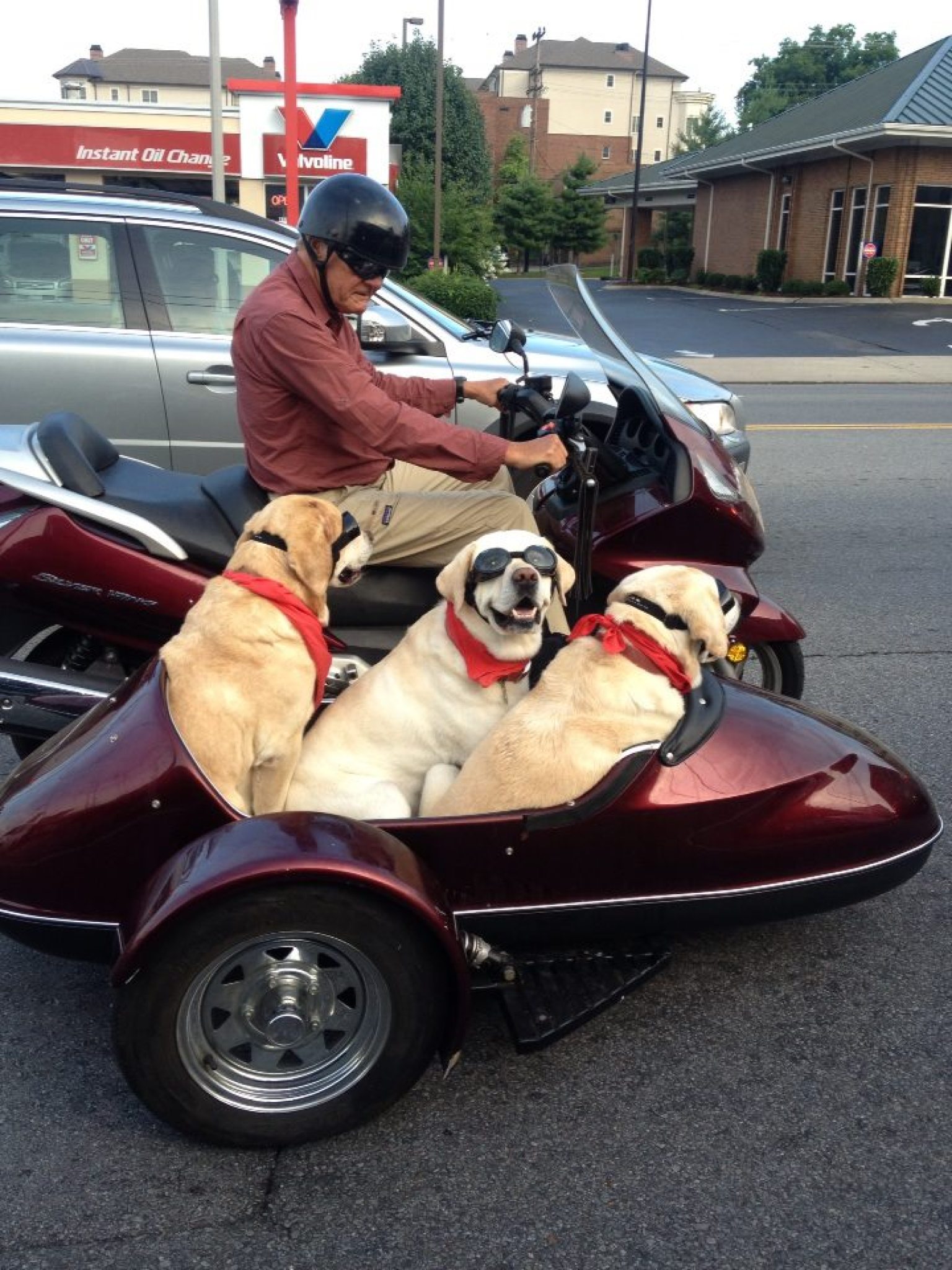 United States AI Solar System (9) - Page 10 O-DOGS-RIDE-SIDECAR-facebook