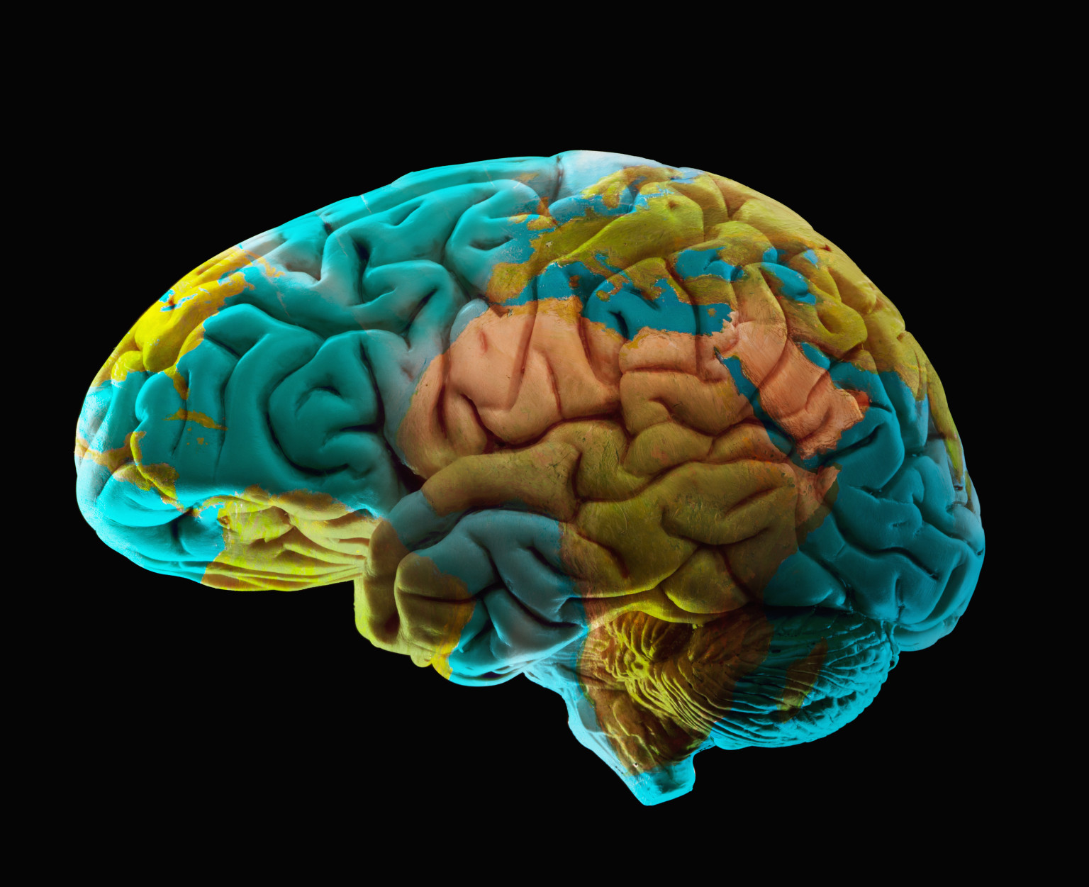 Mapping Emotions in the Brain | HuffPost