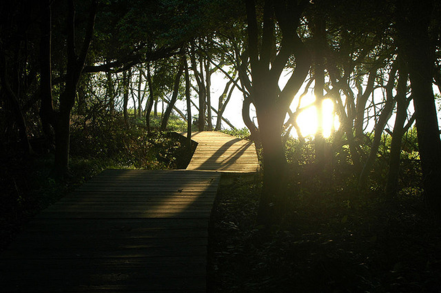The 10 Best Hiking Trails on Long Island | HuffPost