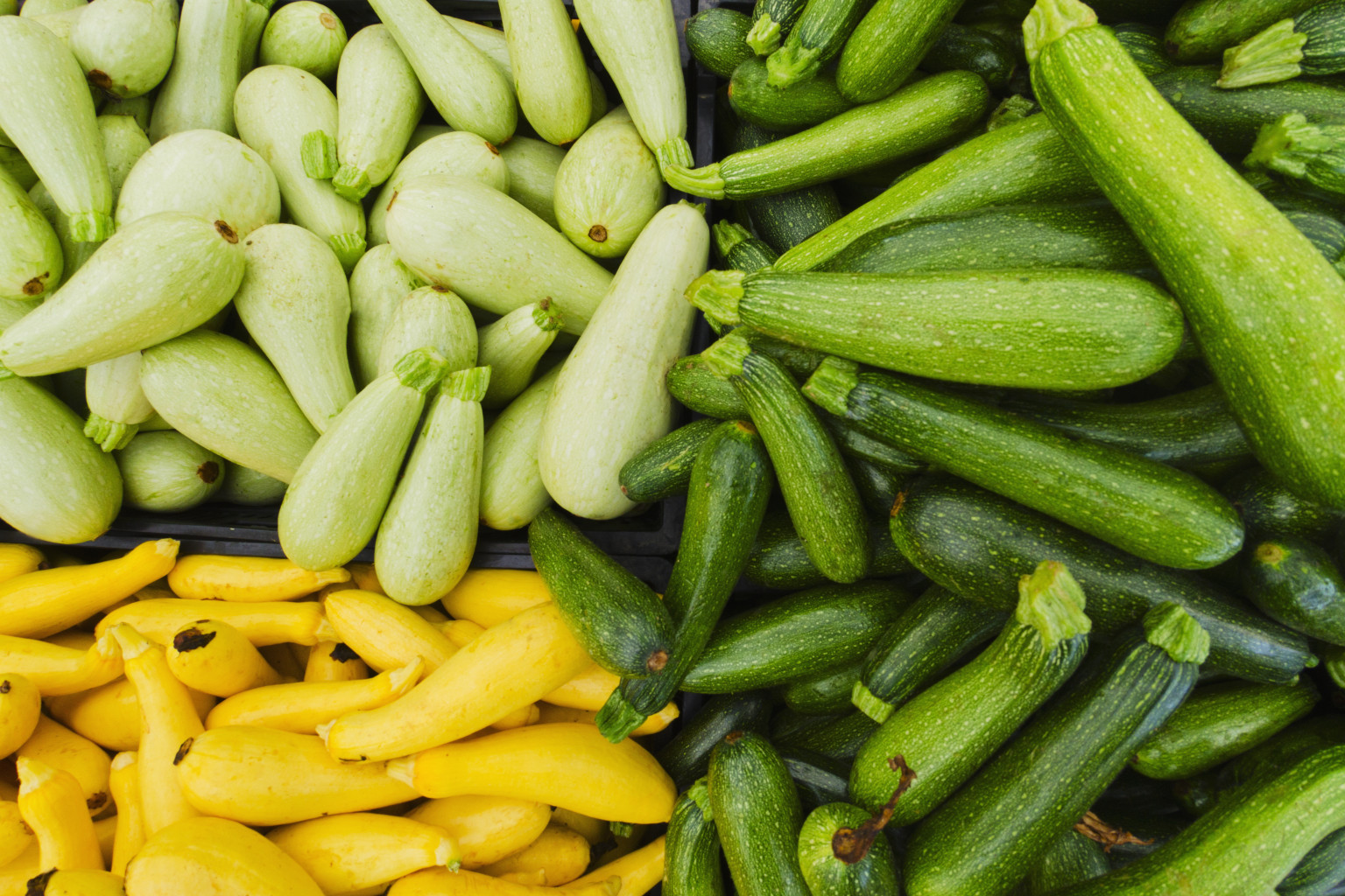 summer squash