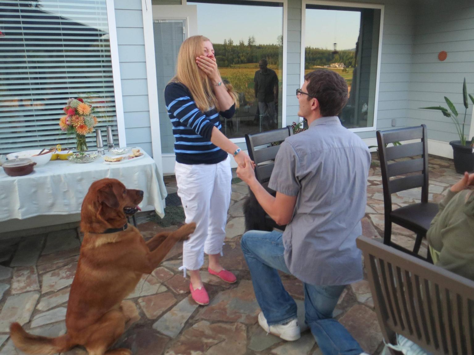 Cute Proposal Photo Shows Dog 'Begging' His Owner's Girlfriend To Say