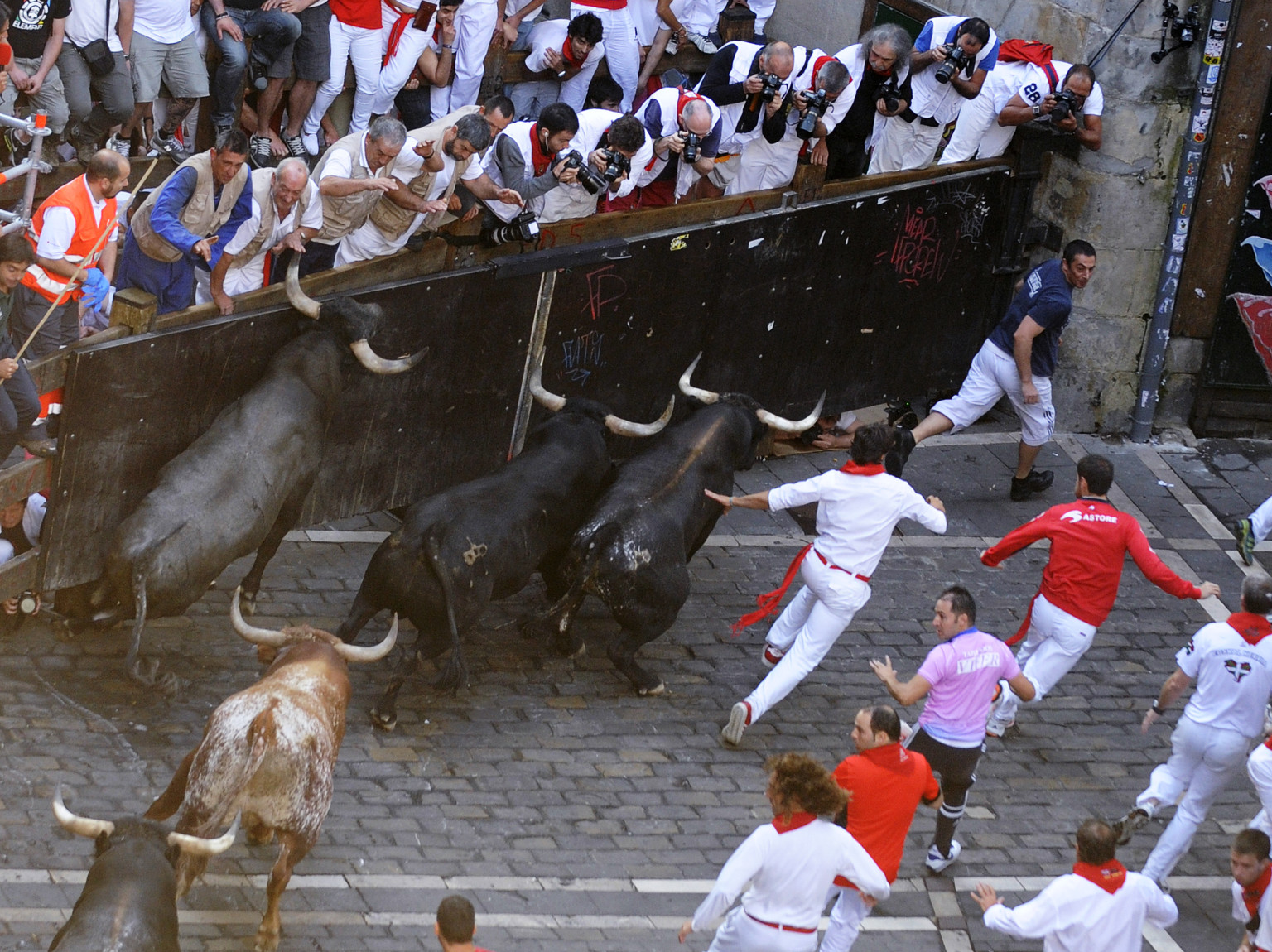 great-bull-run-in-chicago-spanish-tradition-coming-to-windy-city-in