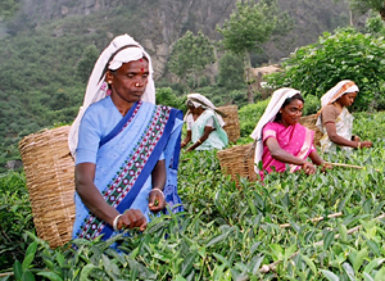 Robin Hood Laptop Project Turns Poverty Into Possibility for Sri Lankan