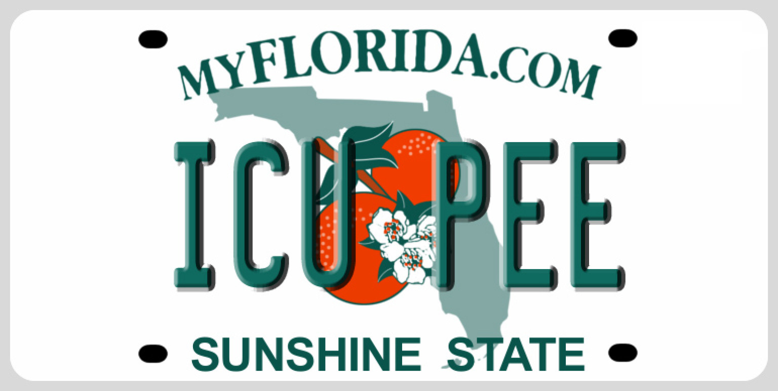 custom license plate florida check custom license plate florida check