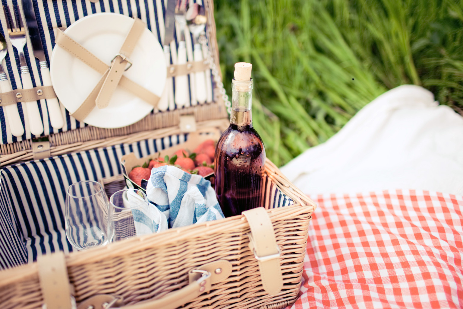 Picnic Mistakes To Avoid For A Successful Outdoor Meal HuffPost