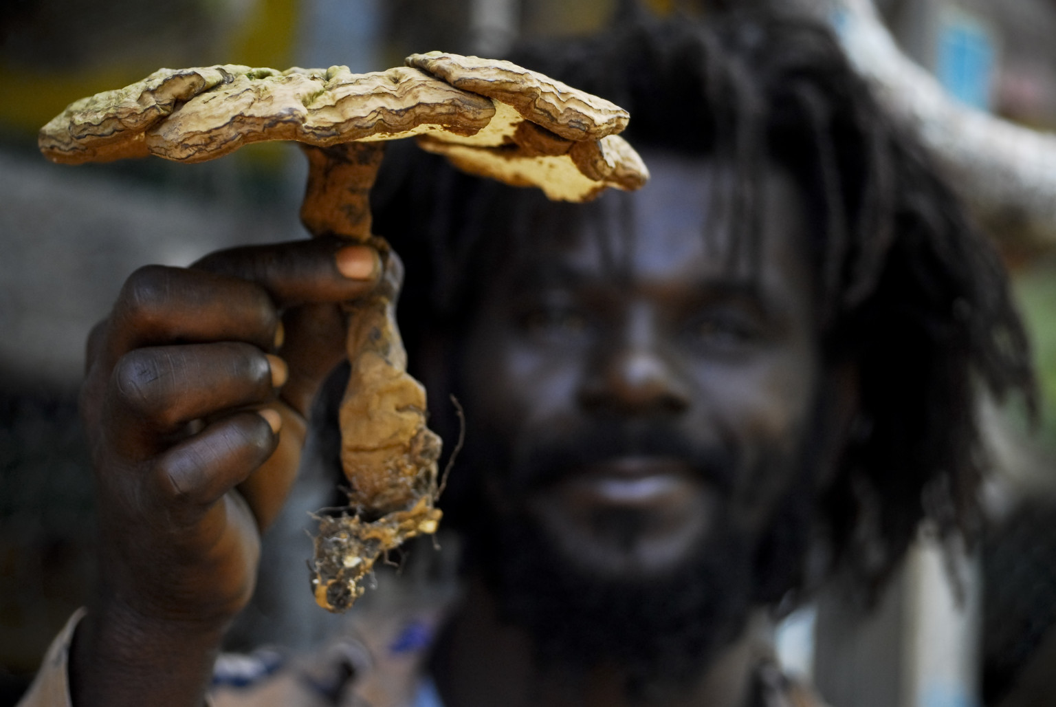 Psychedelics Not Linked To Lasting Mental Health Issues Scientists Say 