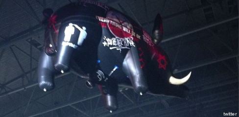 maiale pink floyd