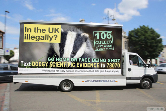 badger cull van