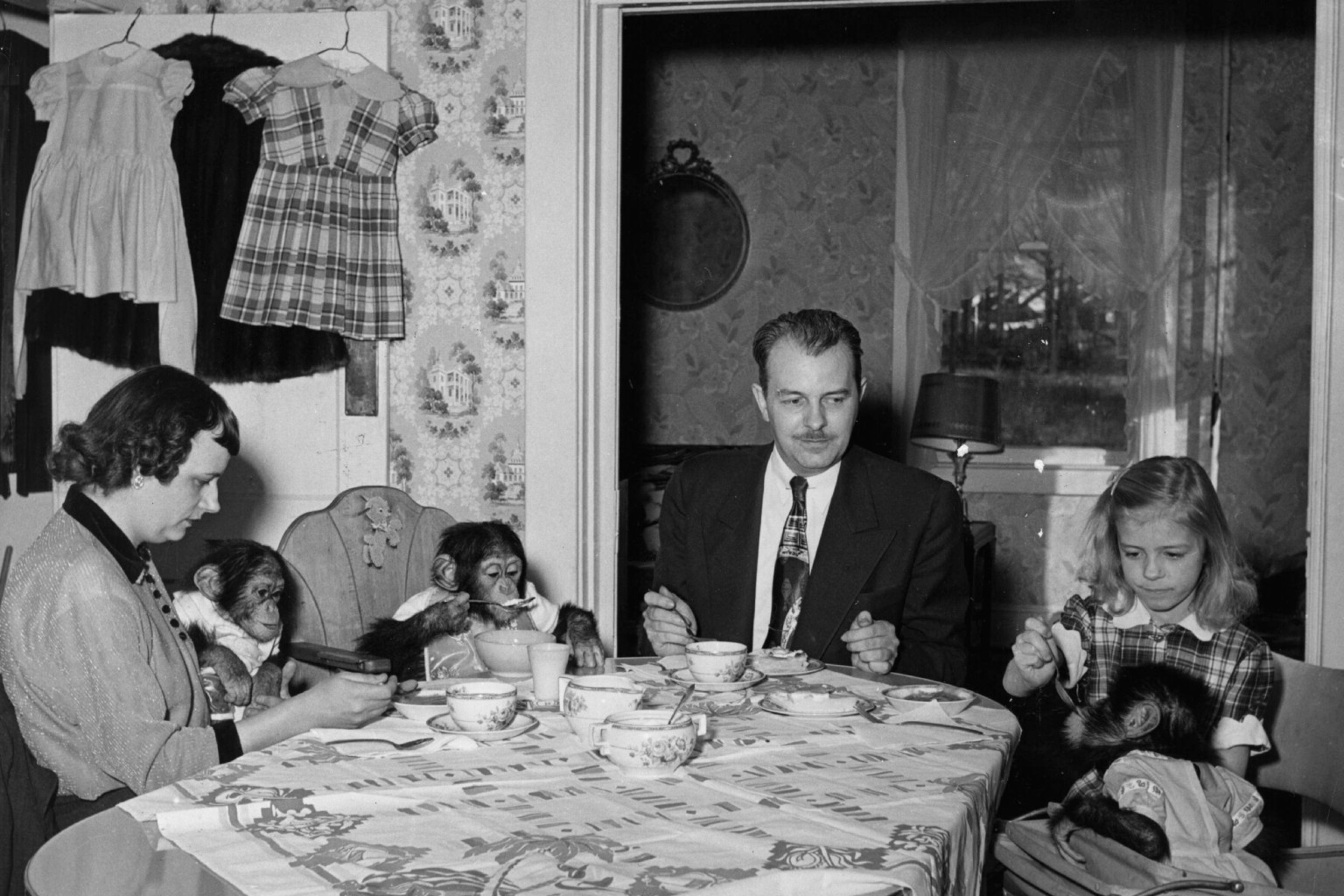 A Look At 7 Weird House Pets People Kept In The 1940s A Look At 7 Weird House Pets People Kept In The 1940s
