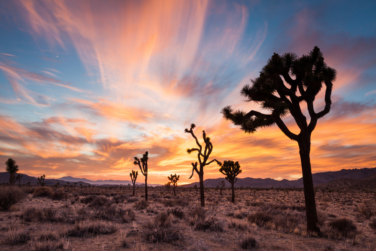 Before Burning Man There Was Joshua Tree's Shadow Ranch 