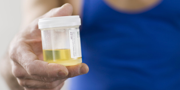 What s In Pee Urine  Composition Study Reveals More Than 