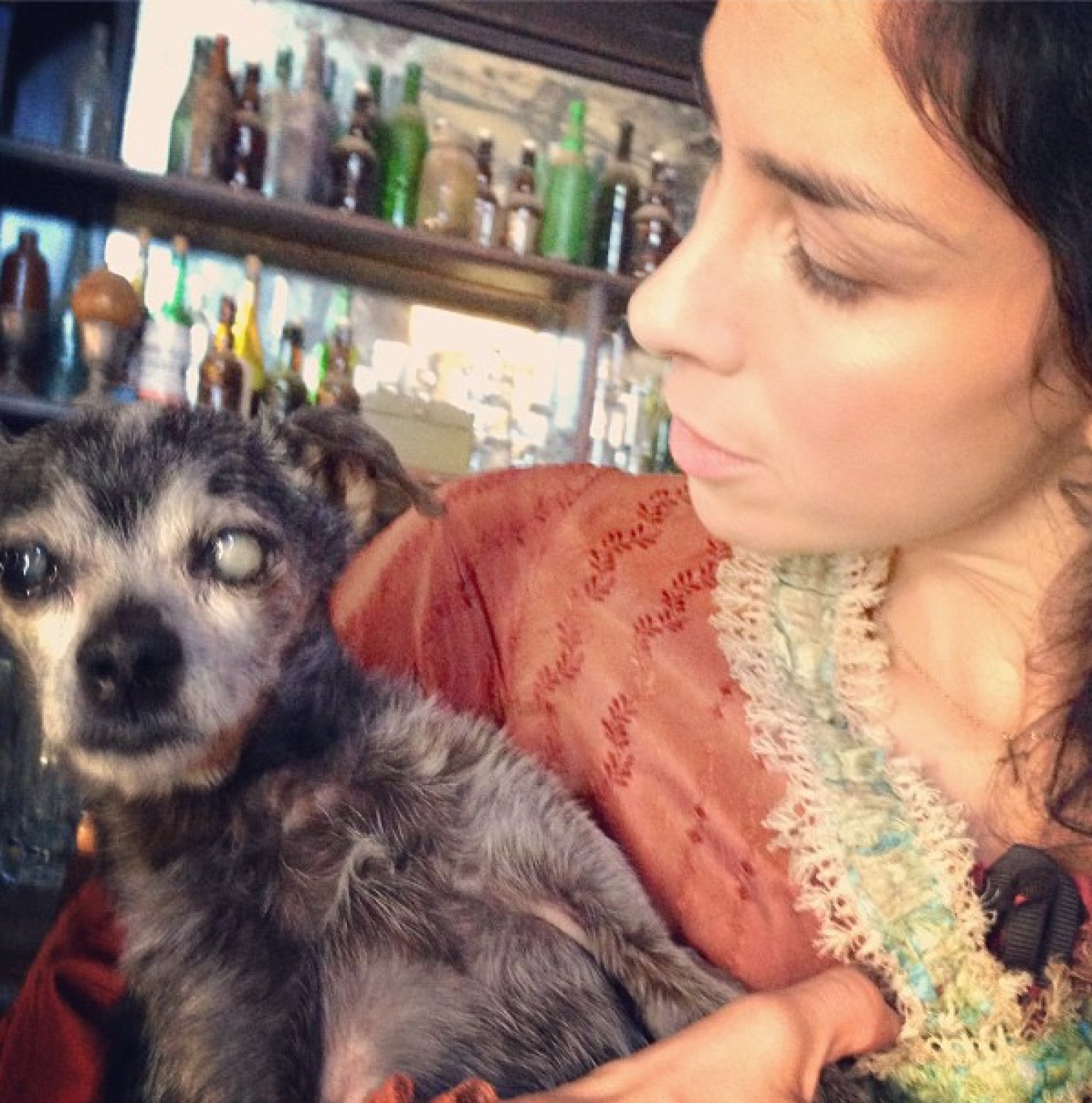 Sarah silverman net worth picture