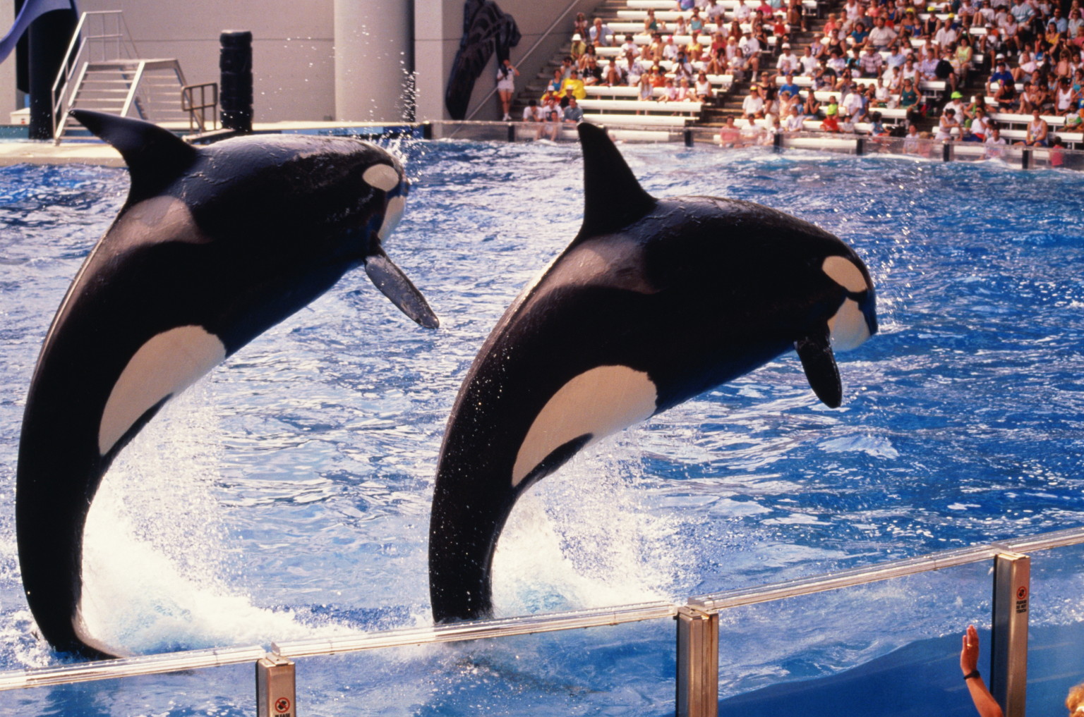 seaworld-cuts-hours-in-possible-obamacare-maneuver-huffpost