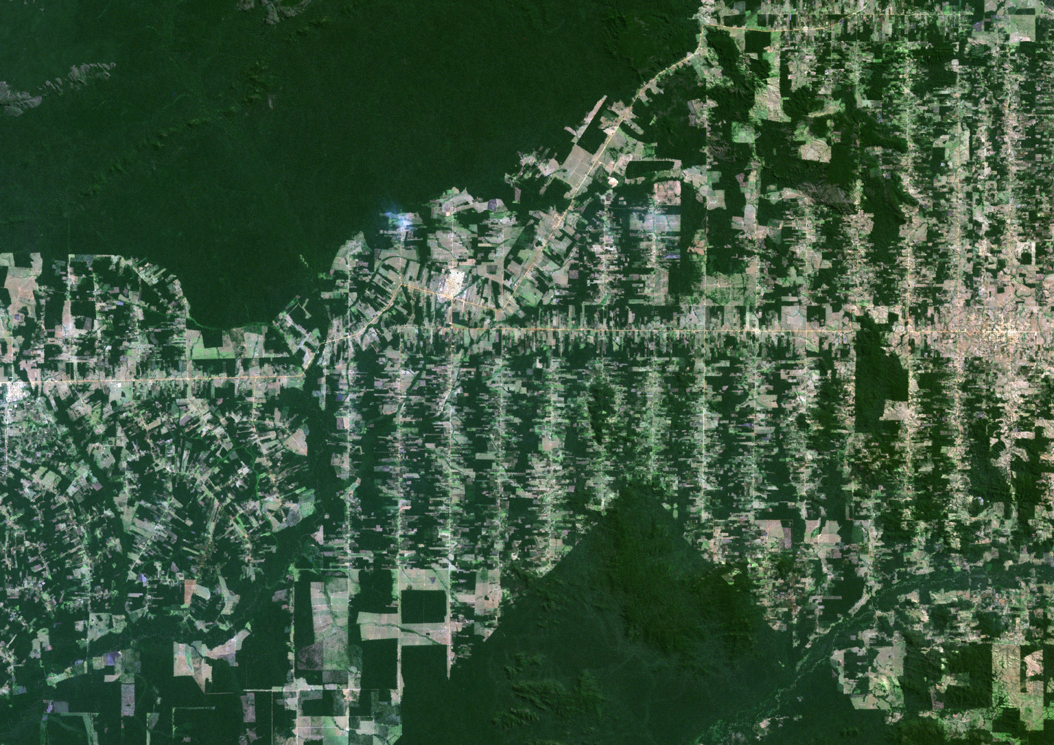 Amazon Deforestation Spikes In Brazil, According To Photos From Country ...
