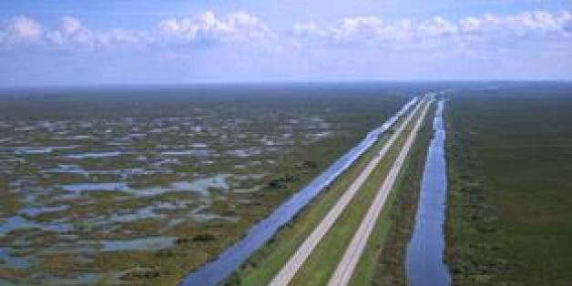alligator alley slip and slide