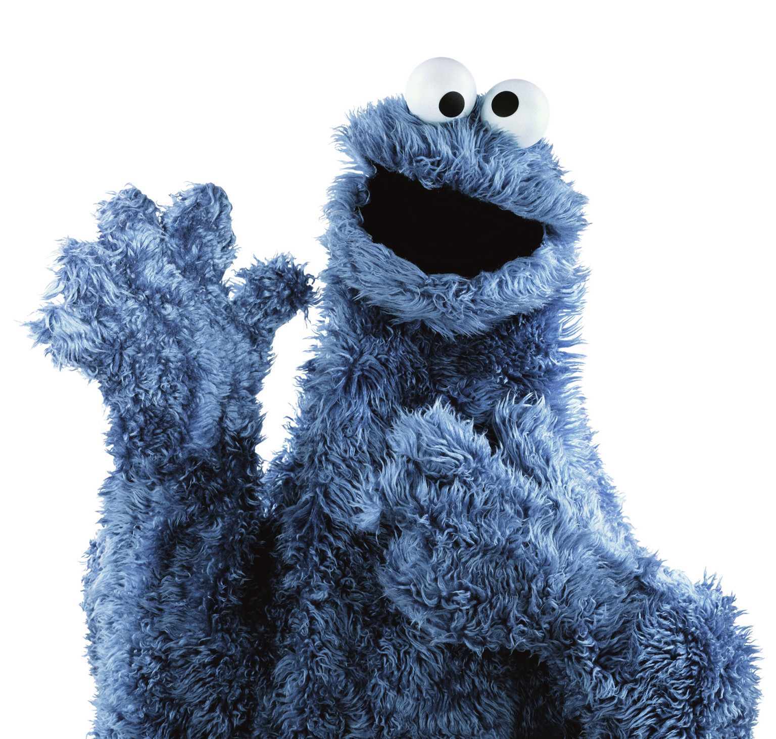 Image result for cookie monster