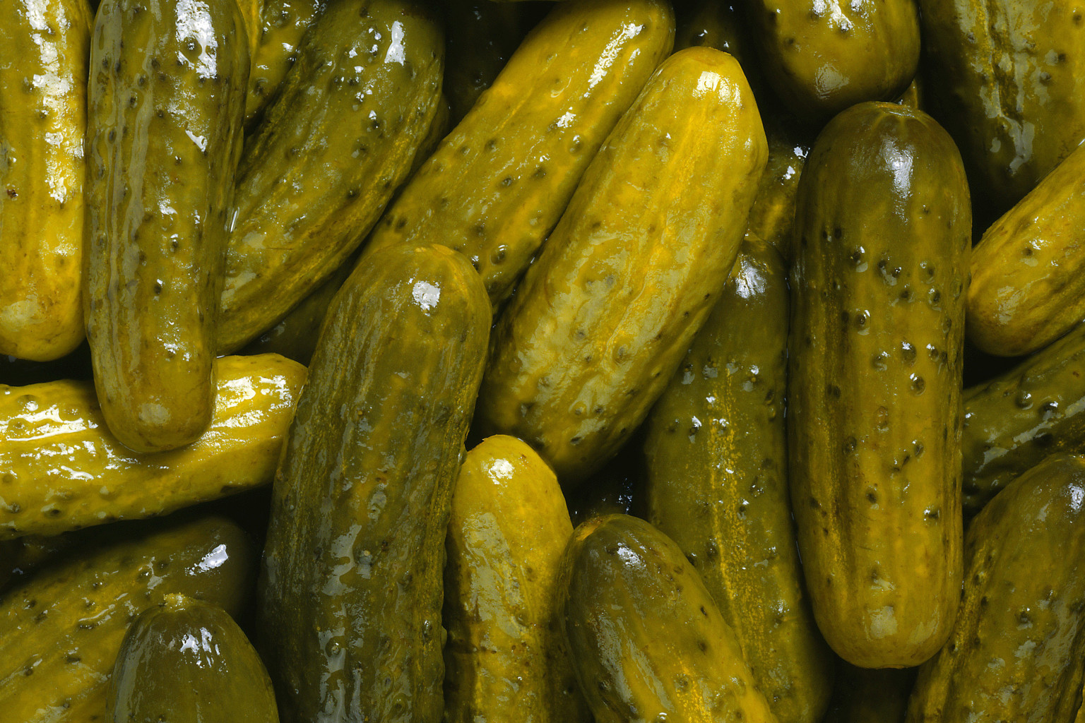 I Love Pickles A Response To Thrillist s Hateful Rant HuffPost I Love Pickles A Response To Thrillist s Hateful Rant HuffPost