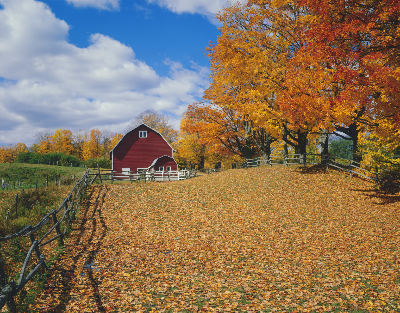 80% Of People Reorganize Their Home In Fall, So You Should Probably Get ...