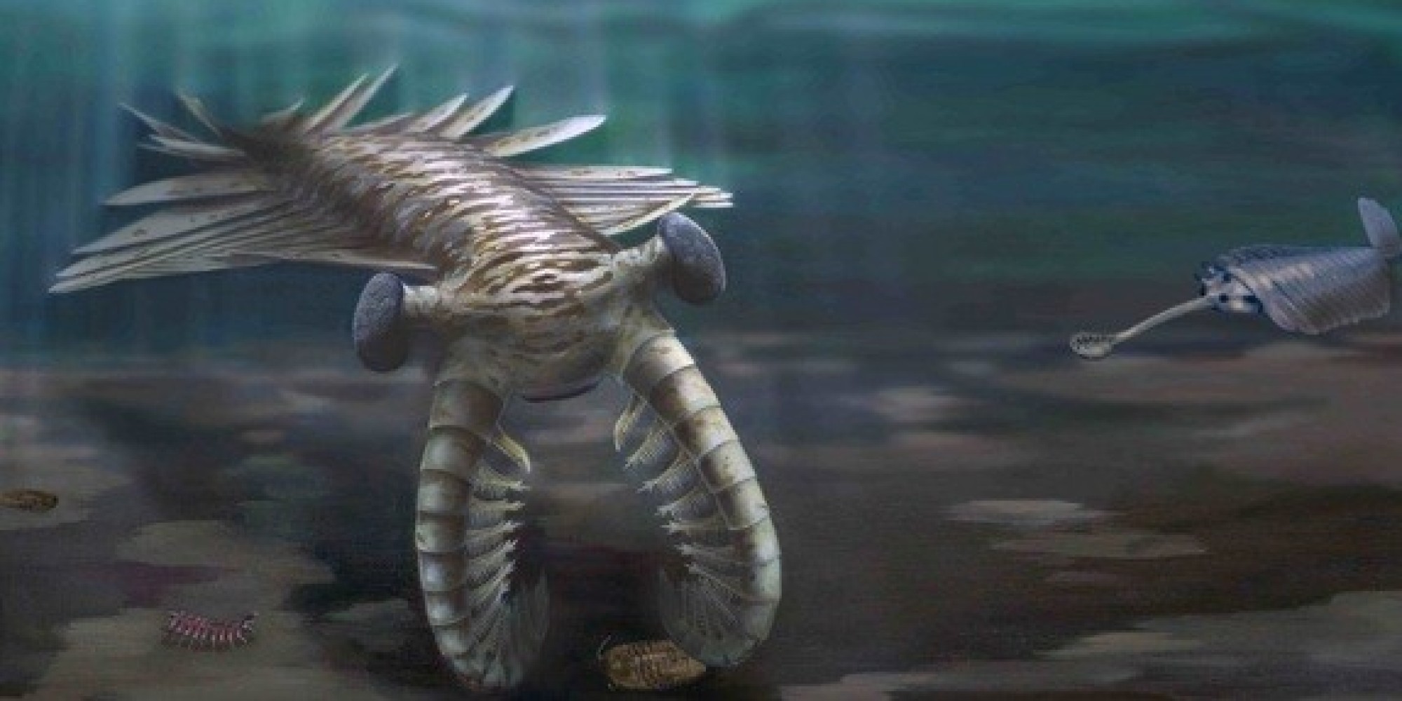 Cambrian Explosion: Evolutionary Big Bang Was Sparked By Multiple ...