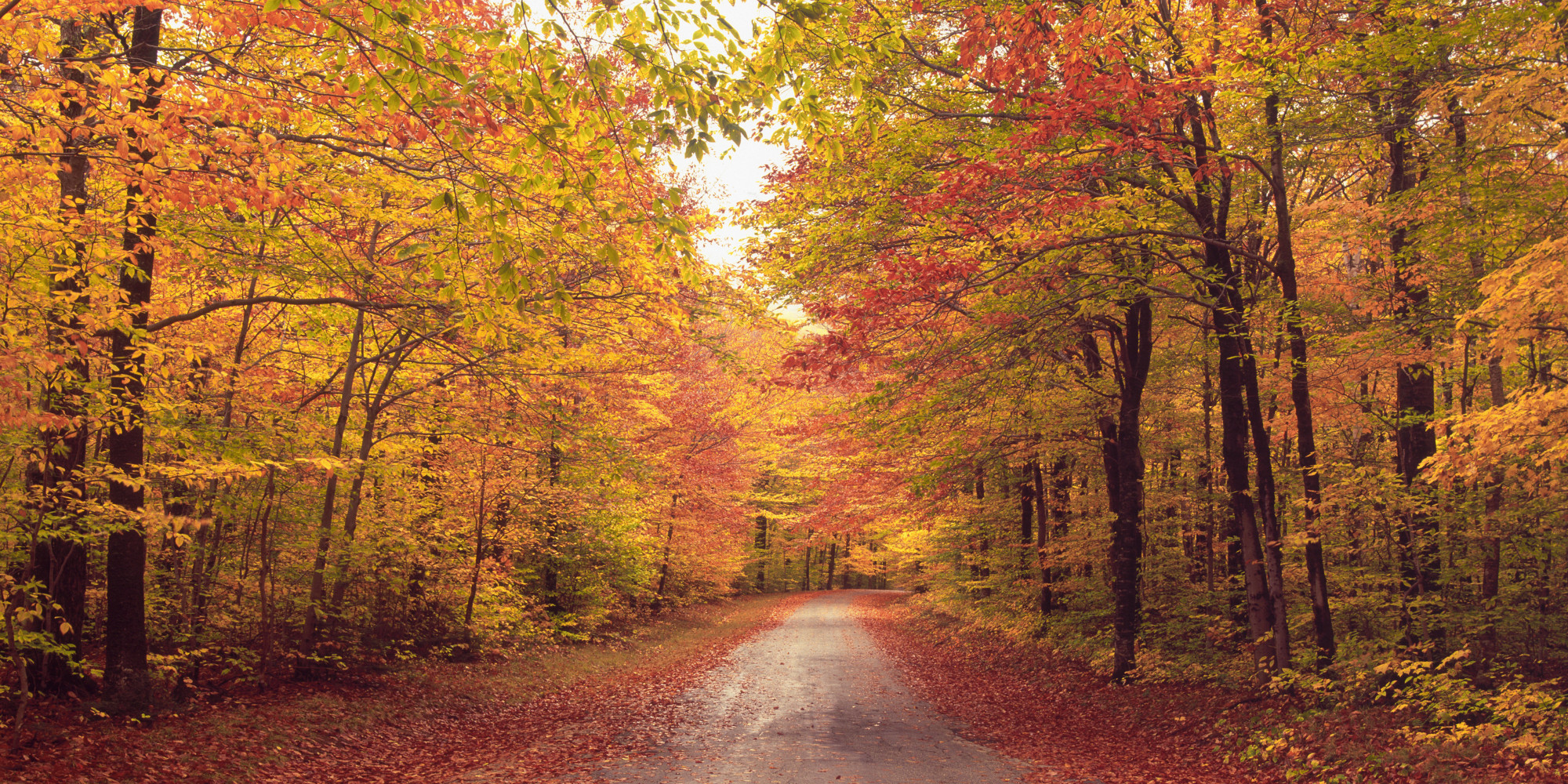 First Day Of Fall 2013: The Autumnal Equinox Is Here HuffPost
